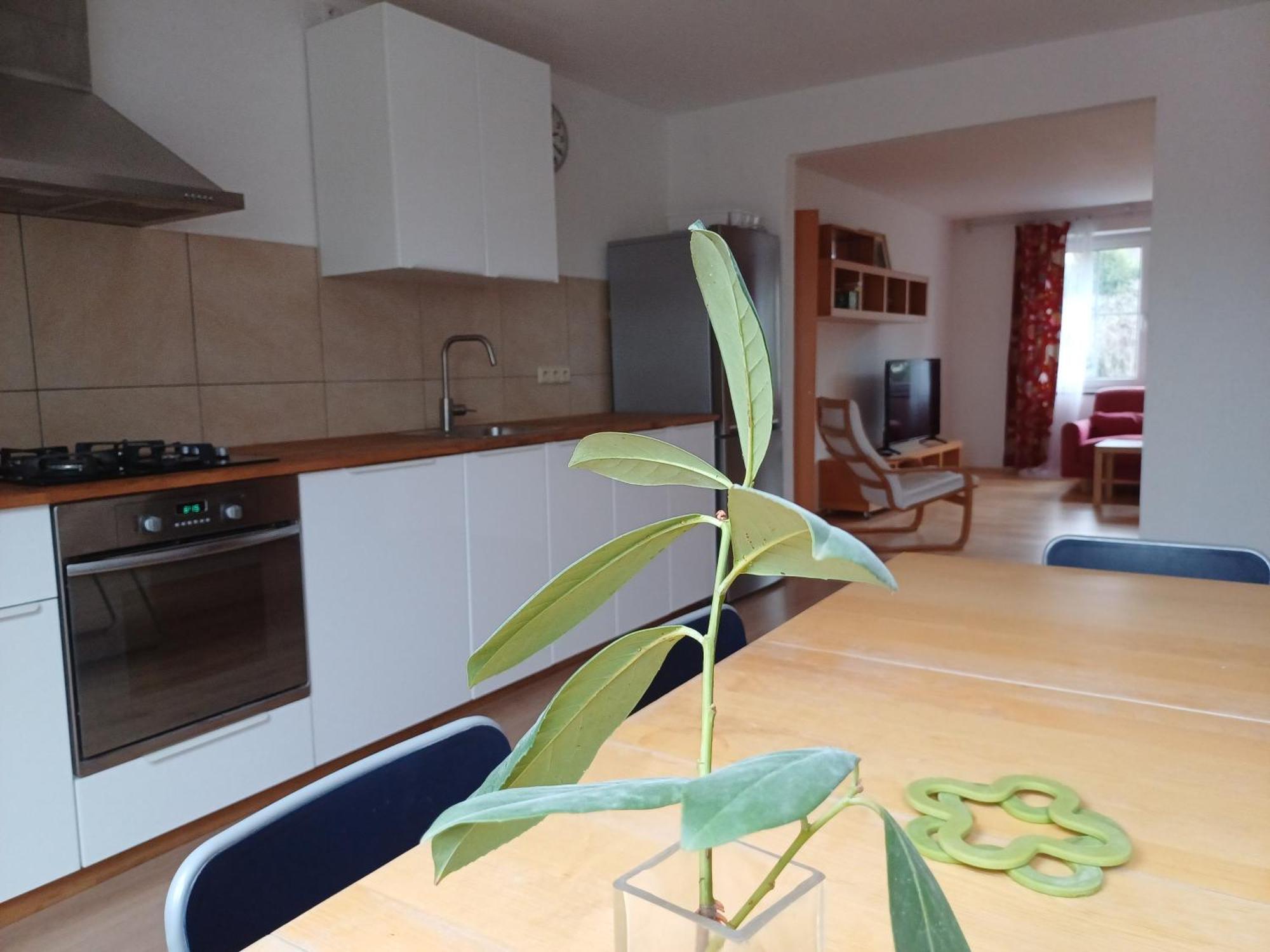Apartman Dvorak 194 Pod Svatou Horou Пршібрам Екстер'єр фото
